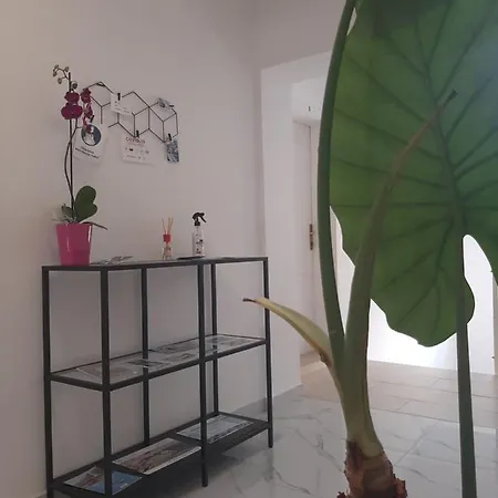 게스트하우스 Petra And 4*