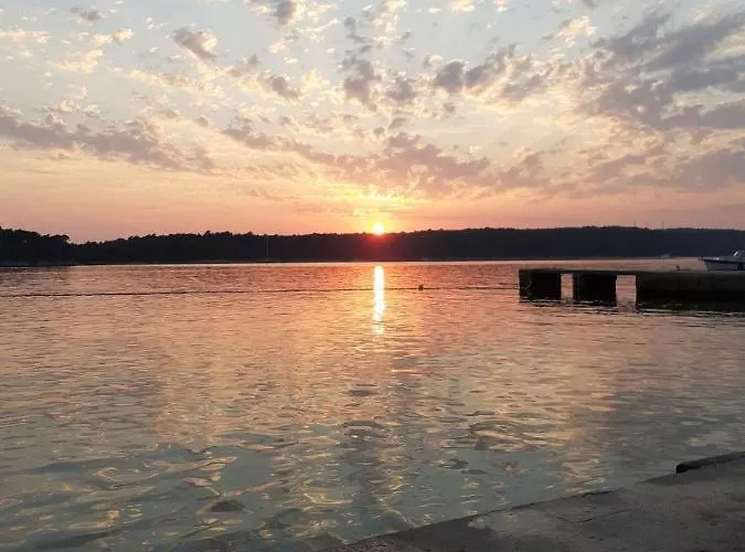 Petra And Guest house